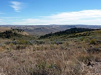 Fosile butte (18).JPG